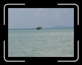 Tortola 146 * Mangrove * 2592 x 1944 * (1013KB)